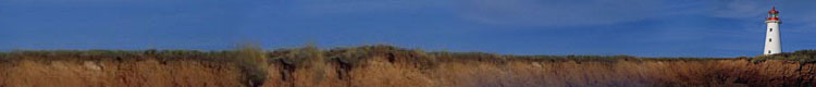 top of page image